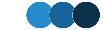 The Comfortable Seat Main Color Palette