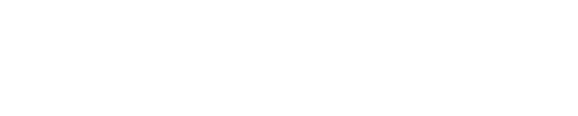 Full Engagement Experience logo 000